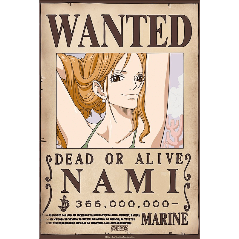 One Piece Poster – Nami Wanted 52x38 cm | AnimeGo