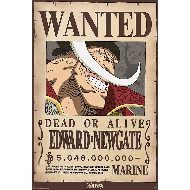 Whitebeard – Wanted Poster (2 Größen)