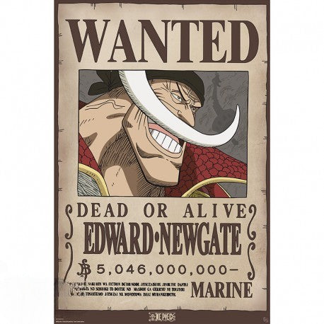 One Piece Poster - Wanted Whitebeard |Glanzdruck - AnimeGo