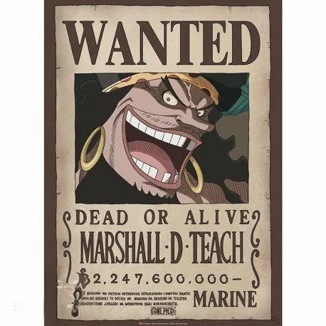 One Piece Poster – Wanted Blackbeard | 52 x 38 cm - AnimeGo