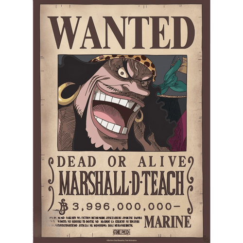 One Piece Poster – Blackbeard Wanted 52x38 cm | AnimeGo