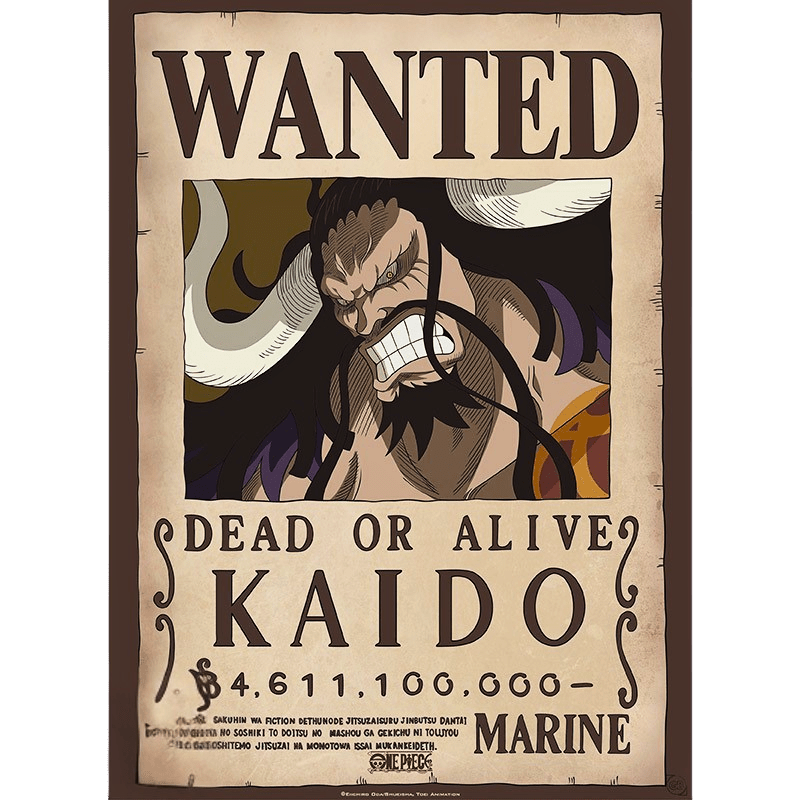 Kaido – Wanted Poster (52 × 38 cm) - AnimeGo