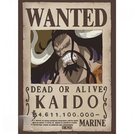 Kaido – Wanted Poster (52 × 38 cm) - AnimeGo