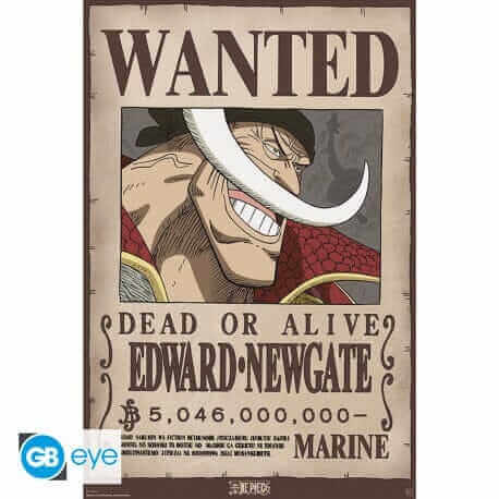 One Piece Poster - Wanted Whitebeard |Glanzdruck - AnimeGo