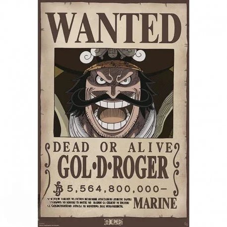 Wanted Poster Mega - Bundle – 16 Charaktere (52 × 38 cm) - AnimeGo