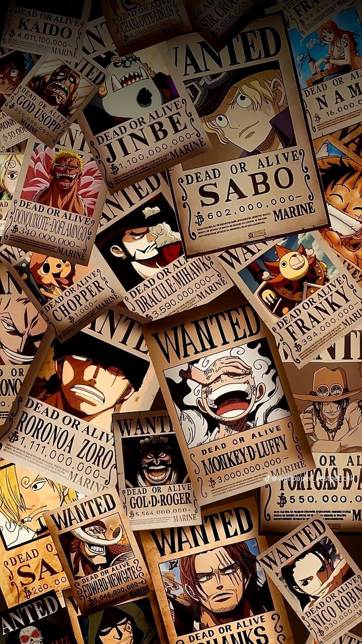One Piece Wanted Poster Set – 17 Characters | AnimeGo